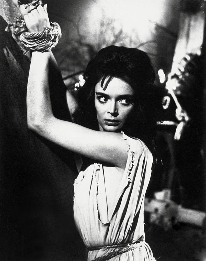 STYDNews :  SHOCK celebrates the birthday of Barbara Steele! Long 