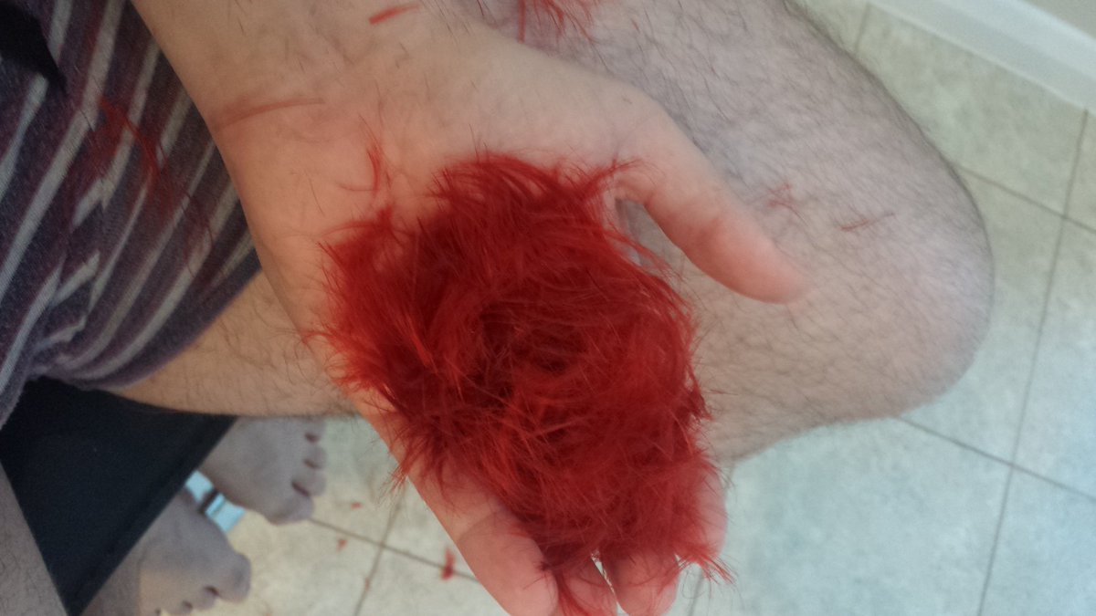 Viktor on Twitter: "@messioso dem ginger pubes / Twitter