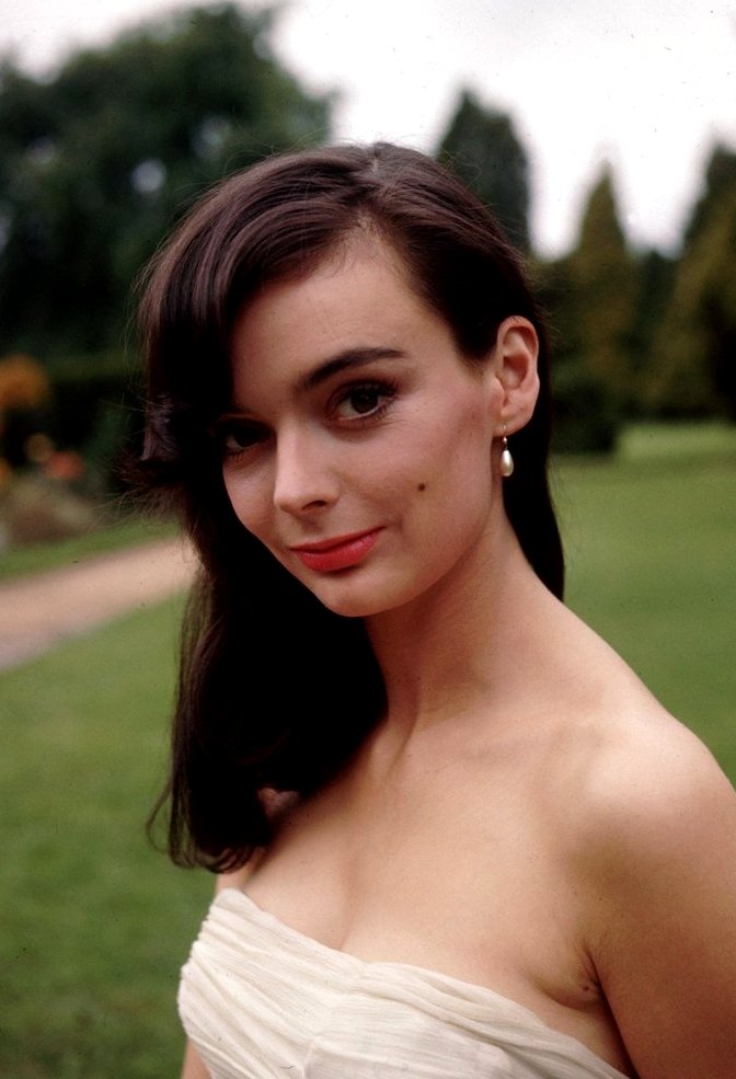 Happy 78th Birthday Barbara Steele (        