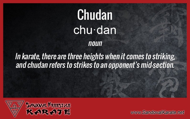 SandovalKarate's tweet photo. Chudan - https://t.co/YC4yycrqKd https://t.co/sMv5LkP1BY