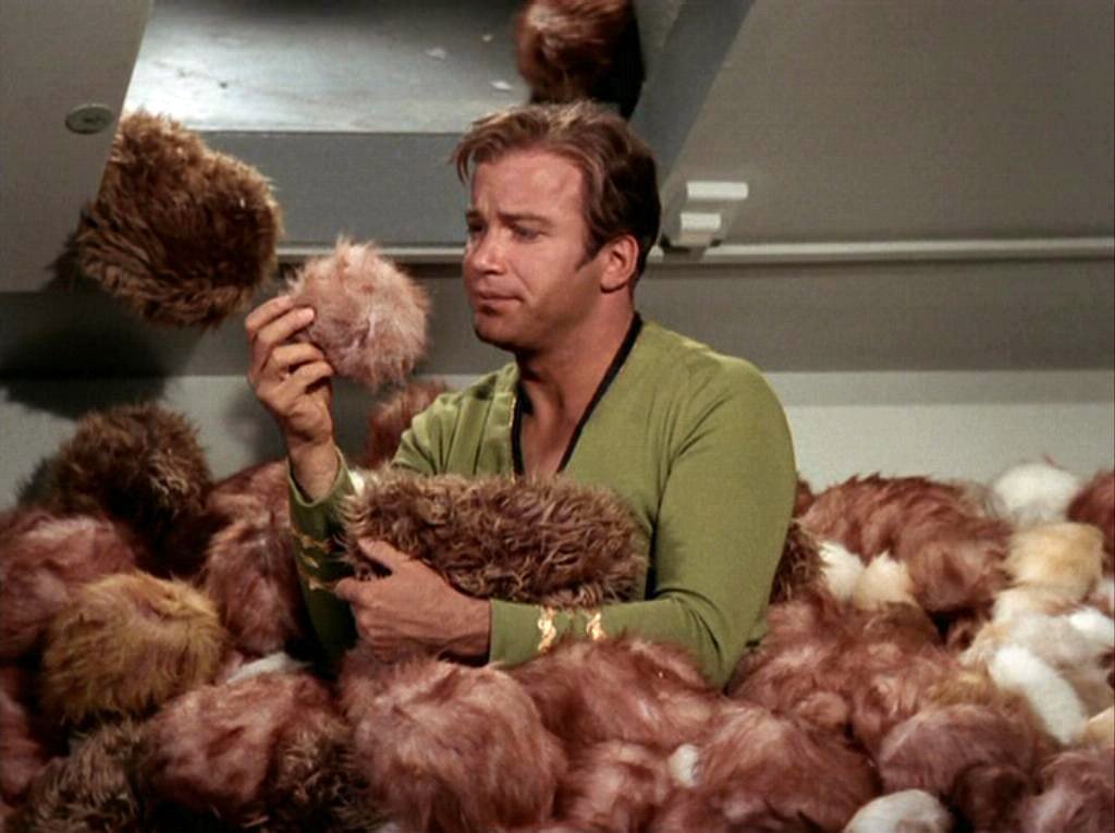 thinkgeek's tweet image. Today in Geek History: The Tribbles took over the Enterprise in 1967!  Fortunately, we are...immune to their effect.