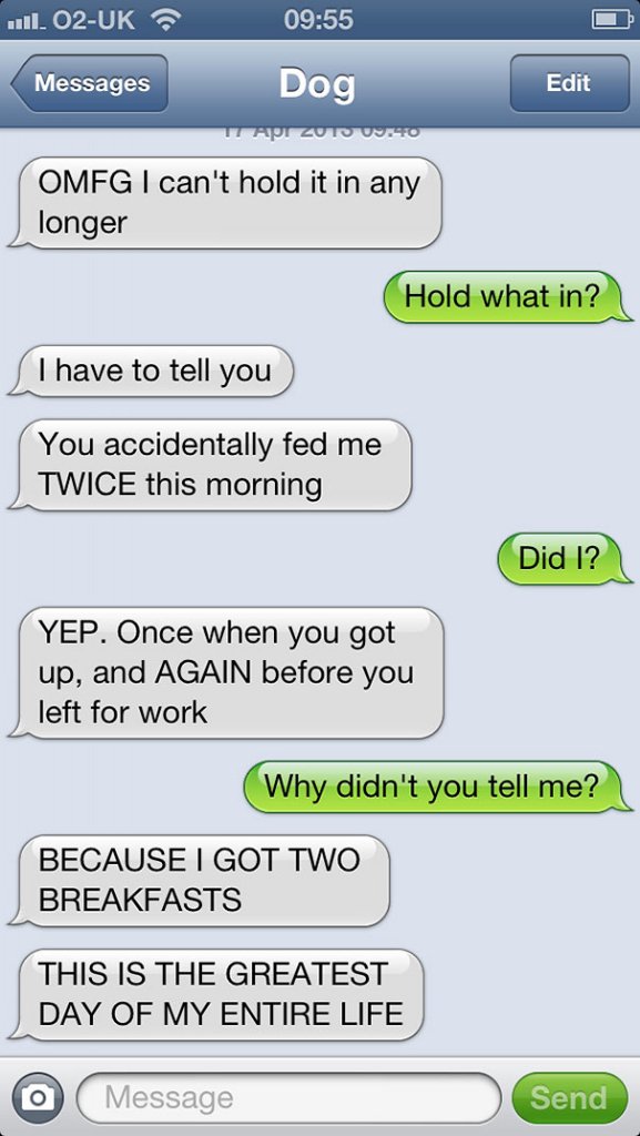 ellinator87's tweet photo. For more shots and giggles #dogtexting https://t.co/YktvBS5g62