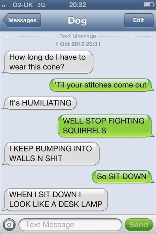 ellinator87's tweet photo. For more shots and giggles #dogtexting https://t.co/YktvBS5g62