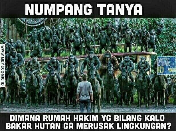 KPA PALA BAJA tweet media