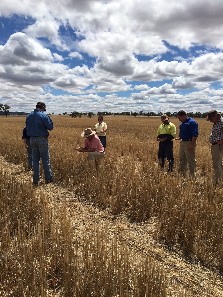 Matt Jones tweet media