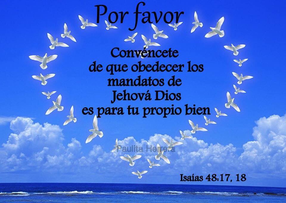 EBurdiel's tweet image. 