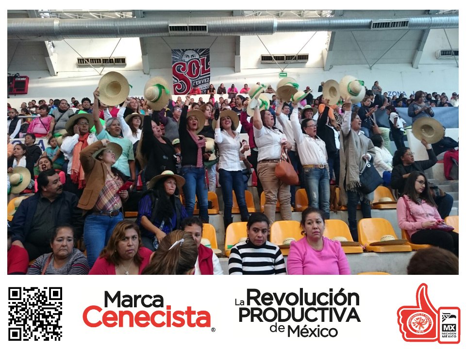 MarcaCenecista's tweet photo. Presentación de la #MarcaCenecista en el marco del #101roAniversario de la promulgación de la #LeyAgraria #CNC https://t.co/moXnh31zCD