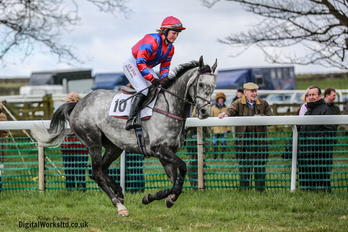 Gsxr1000UKKO's tweet photo. Soon be time for P2P @CAupdates #p2p #hunting #horse #equine #ryanmania https://t.co/4u5313TslO