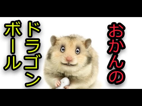 しゃべる動物