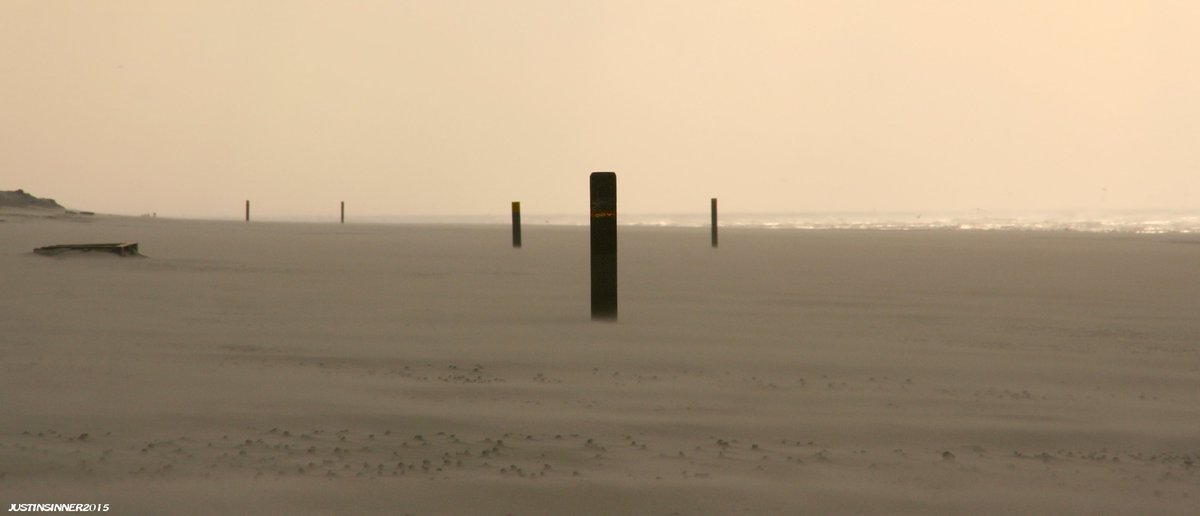 Alleen. #Texel #kust #coast #beach #nature #sea #sand #wind #sinner #pictures #natuur #wadden #waddeneiland #photo