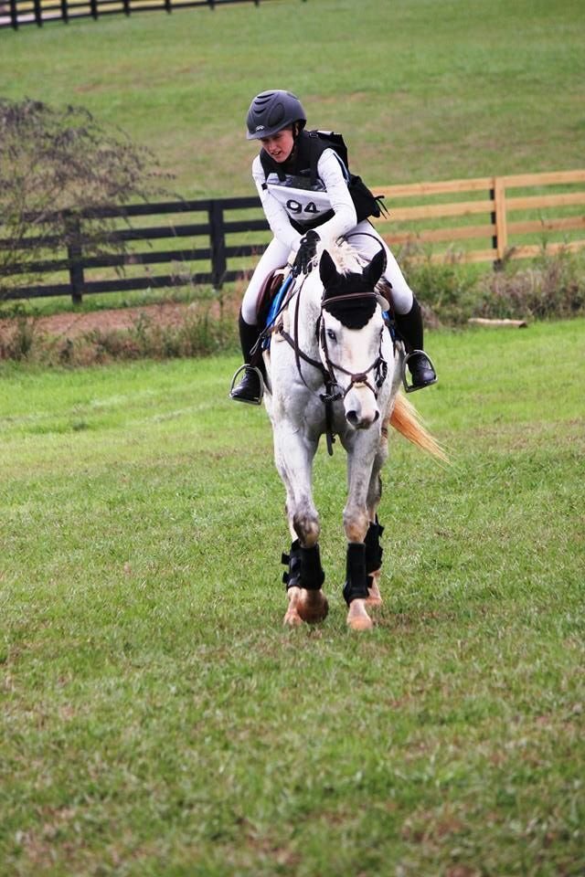 Sbowmanhorses's tweet photo. 🚨🚨🚨NEW BLOG POSTED🚨🚨🚨 

2015 in review

 https://t.co/JpTwmbw0mJ https://t.co/hbKTw7nwKx