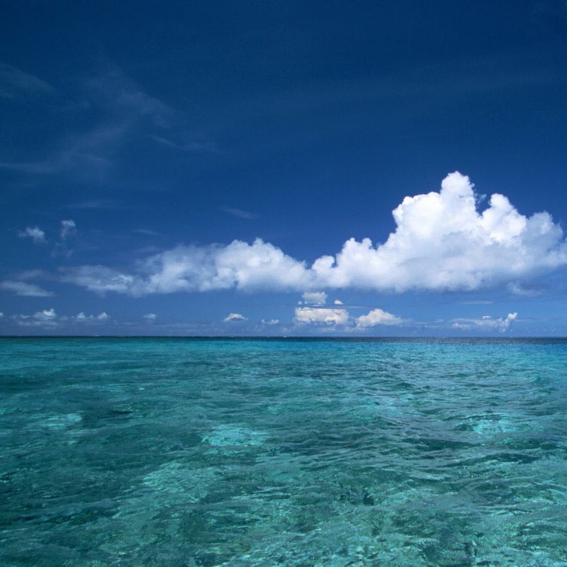 JuliaAsThings's tweet photo. The Ocean https://t.co/i5B8EGMrNm