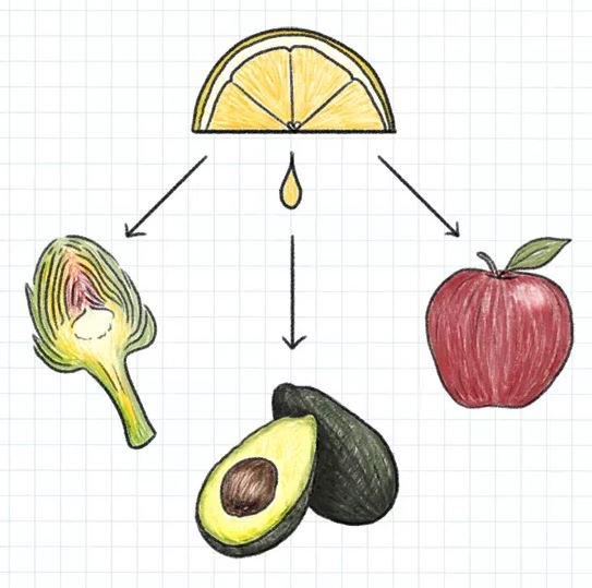 udisglutenfree's tweet photo. Great tips! How to Prevent Avocados (and others) From Turning Brown: https://t.co/DCUEiw8FWM via @TastingTable https://t.co/CkHG2r9oxX