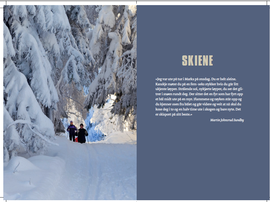 HaaBull tweet picture