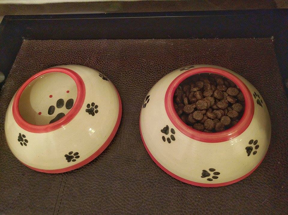 4pawspottery's tweet photo. Moosie in CA loves her new #EarBowls! #DryEars aren't just for #spaniels & #hounds! #dogs #pets #CustomerLove https://t.co/inkJU4eItP