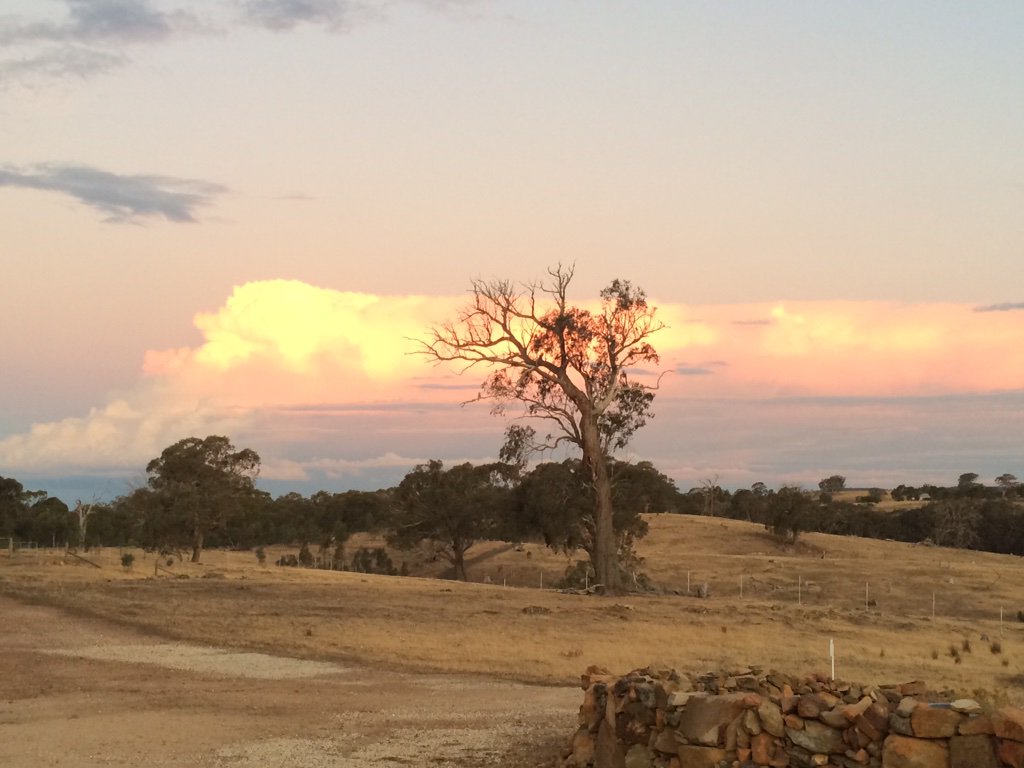 HeathcoteBNB's tweet photo. Summer is THE season for amazing sunsets THE best place to celebrate with award winning #HeathcoteWine is #Heathcote https://t.co/xLddr7bZ8X