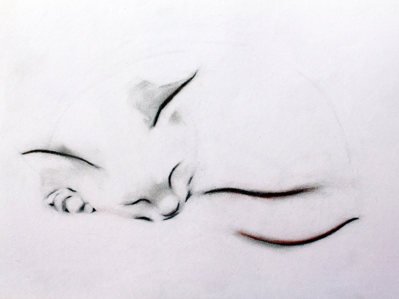 912 Sleeping Cat Tattoo Images Stock Photos  Vectors  Shutterstock