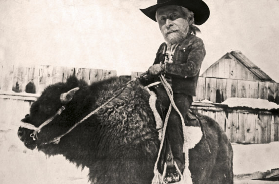 Highline Magazine tweet media