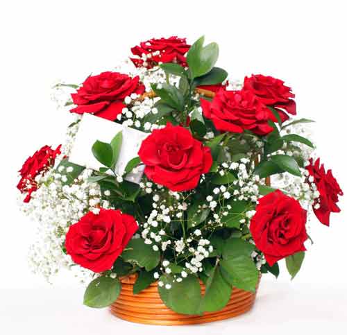 Zair (@zair18462602) on Twitter photo 