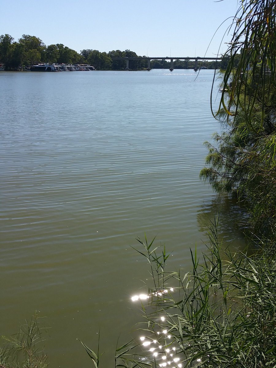 JudithAllenACN's tweet photo. Good Morning from Mildura VIC. https://t.co/Gt1bHbYZ3z