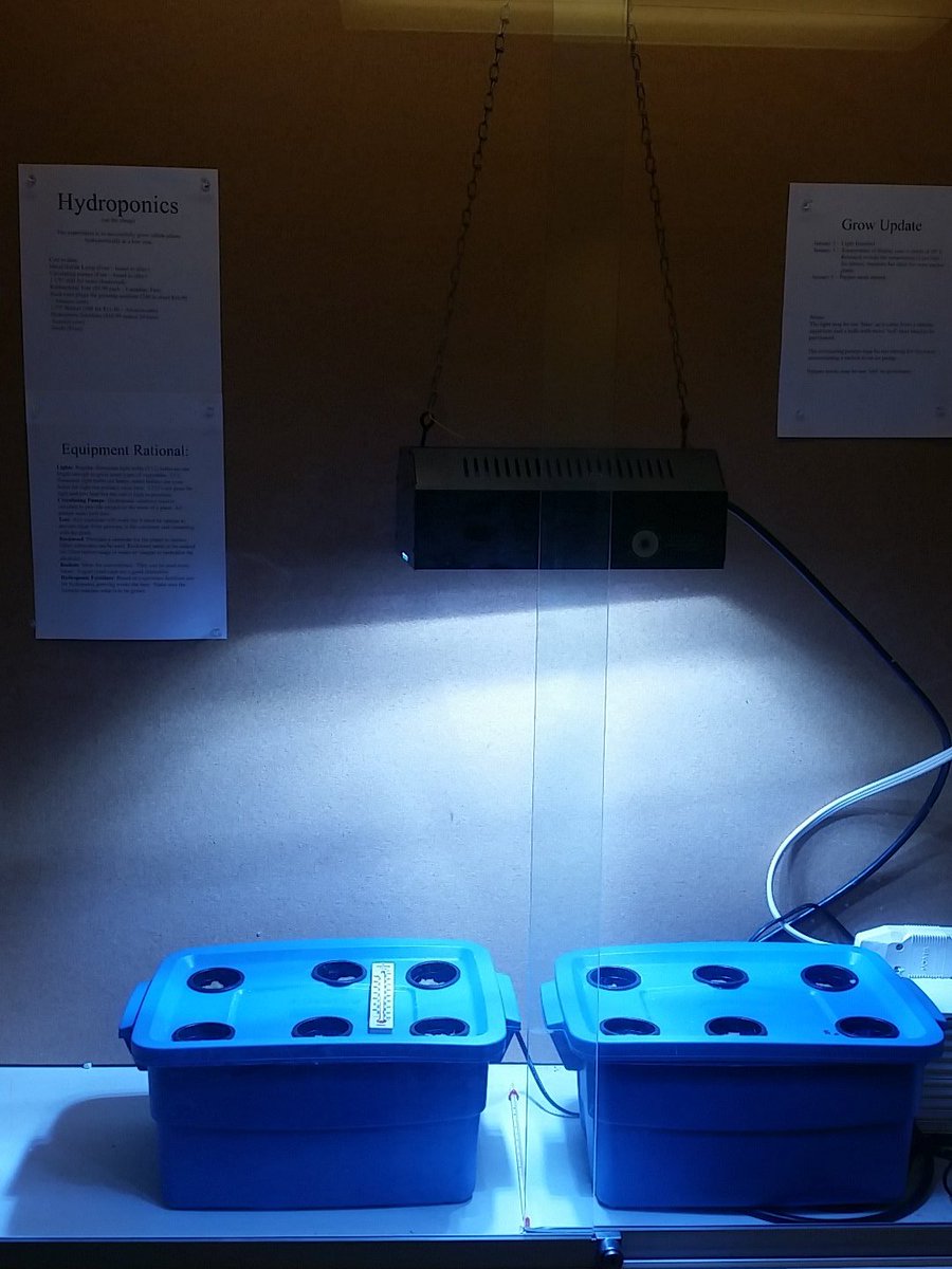 MsYoonHomeEc's tweet photo. I gotta find out which department is doing this hydroponic gardening project!! #ubcbed2016 #homeec #lowcostgardening https://t.co/5dV4c7XMOO
