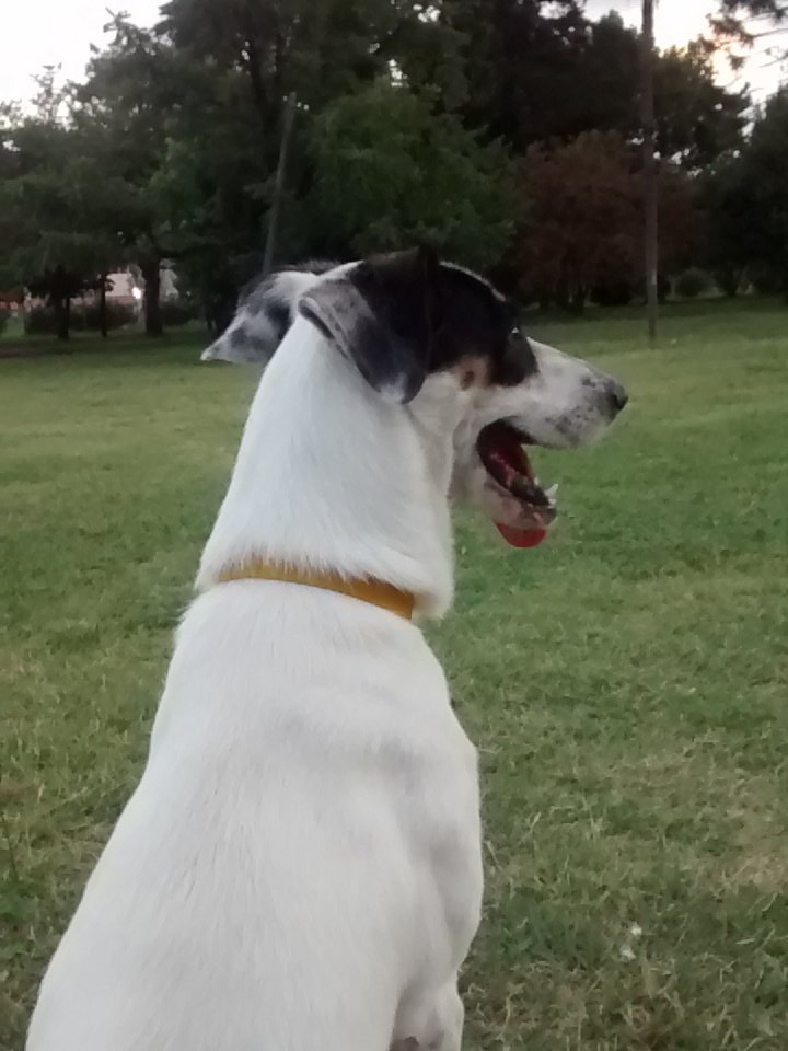 agusdomi's tweet photo. Amo las caminatas que clavamos https://t.co/726khXmjlQ