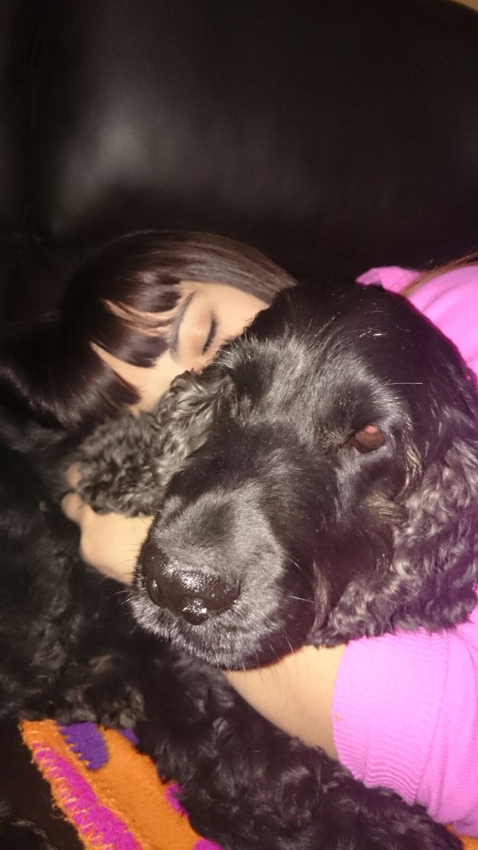Always_strong22's tweet photo. #huggingtime #lovemydog https://t.co/S9AAmIz0IO