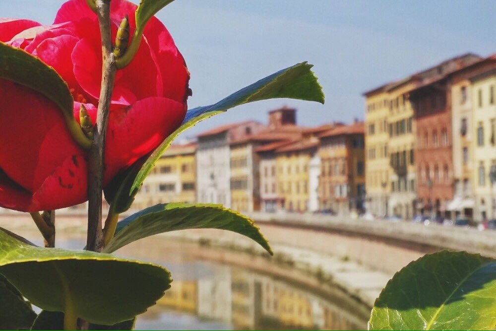 Le date di Fior di Città 2016? Venerdì 8 - domenica 10 aprile! #pisainfiore #leopolda