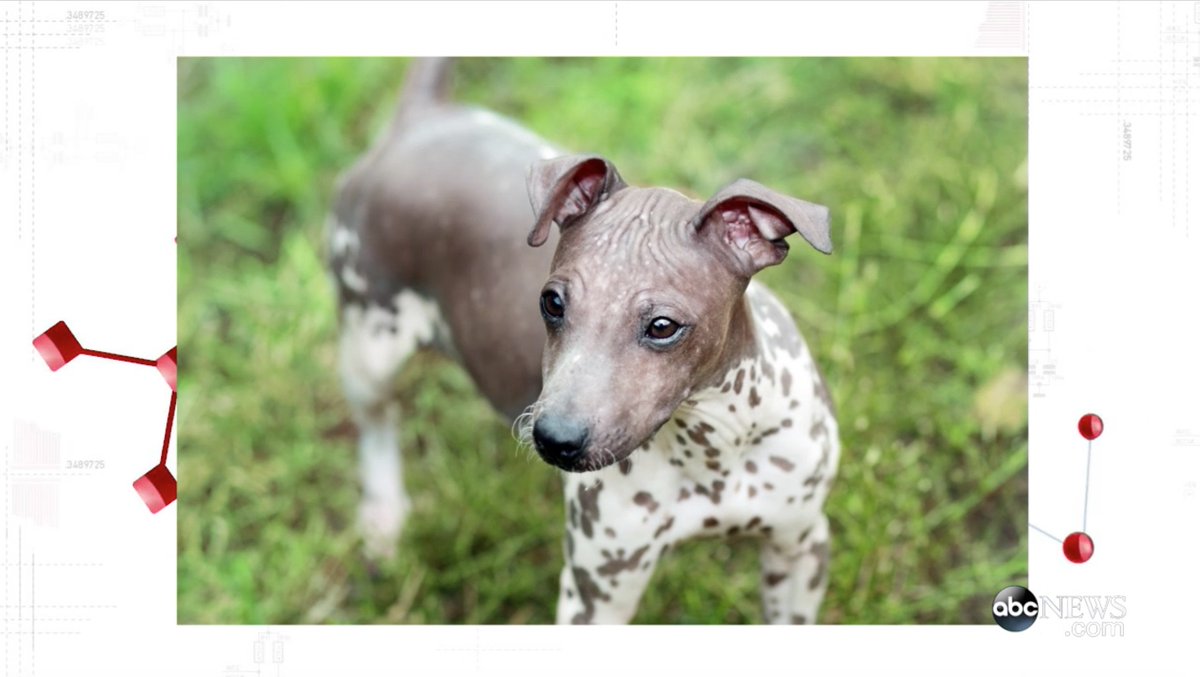 Embedded image permalink