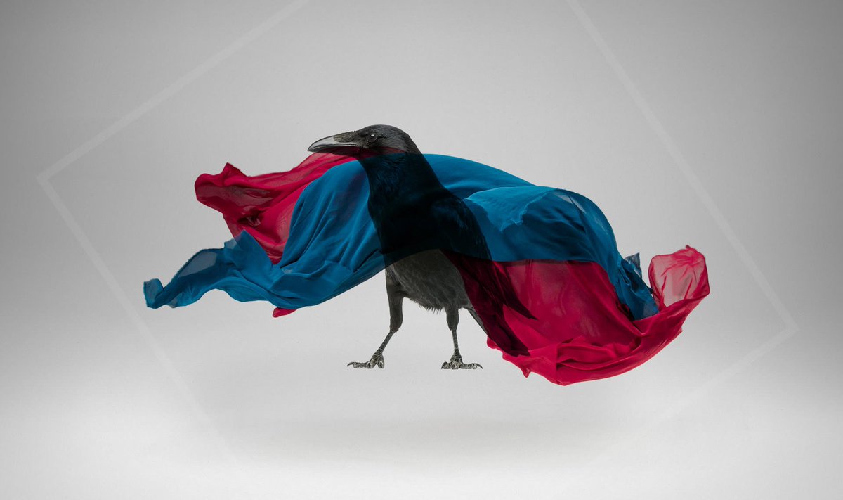 IPSAmerica's tweet image. #GraphicDesigner I 
#HTML #PrintLayout #WebDesign #PrintMedium
#ApplyNow: ipsamerica.com/Jobs/info.aspx…
#NationalBirdDay