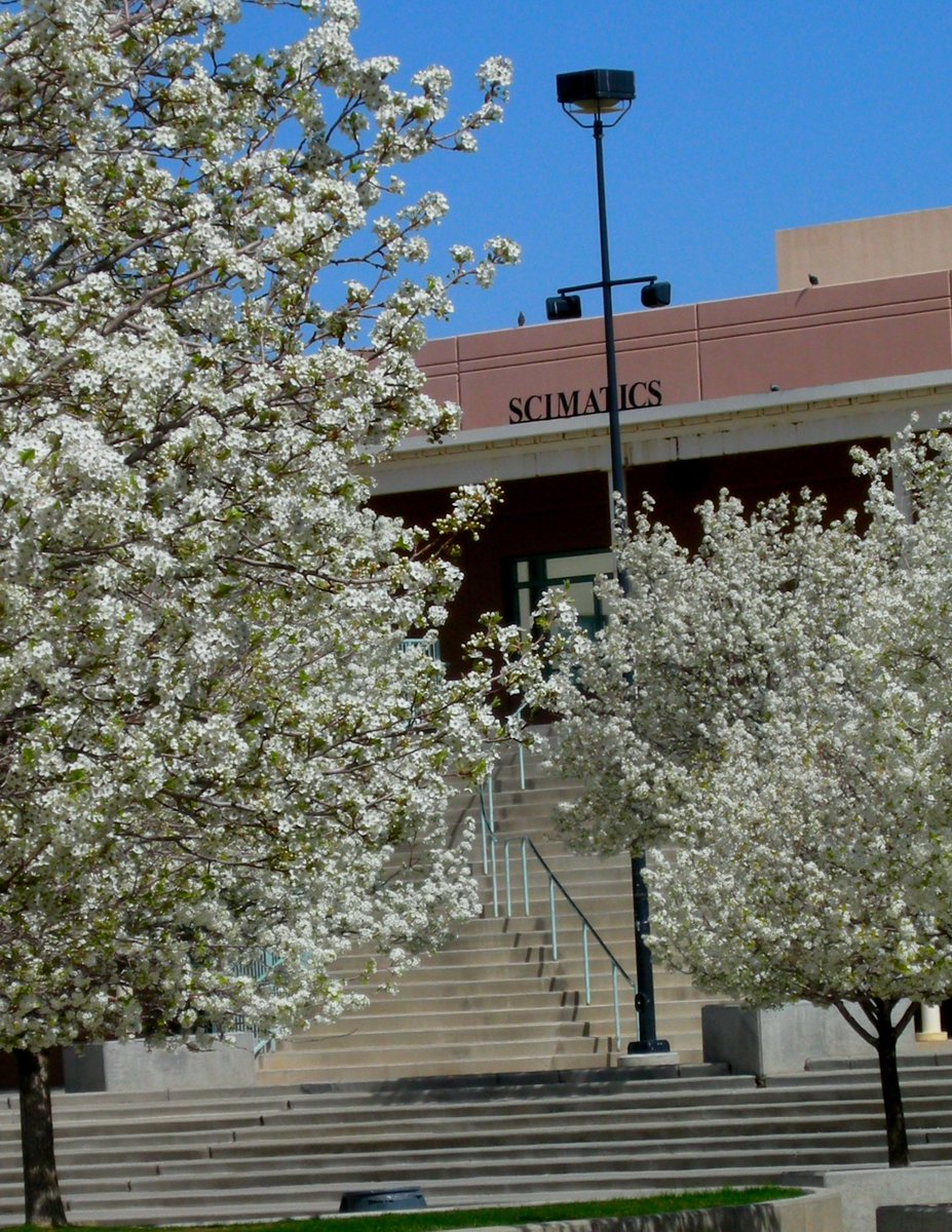 _highschoolgoal's tweet photo. Rio Rancho High School, Rio Rancho, New Mexico. 
Student Pop: 2,503
Colors: Blue and Green
Mascot: The Ram https://t.co/JETbG9n1hZ
