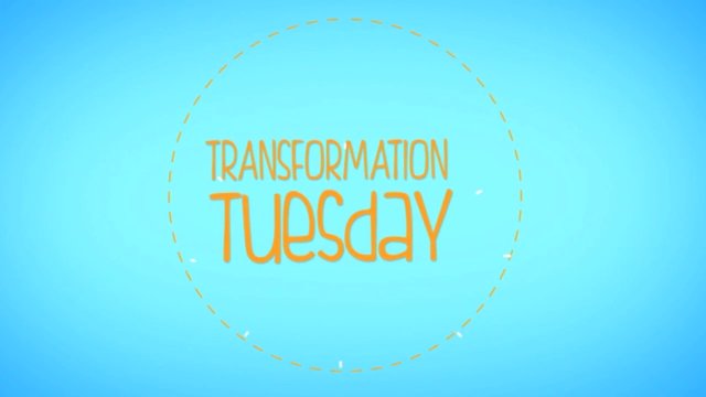 FairyInKitchen's tweet image. I appreciate the things U transform 4 us @ChefArtSmith @ElevatingBeyond @DhillasG @ChefJasRoberts @CrusePhoto @mpsue