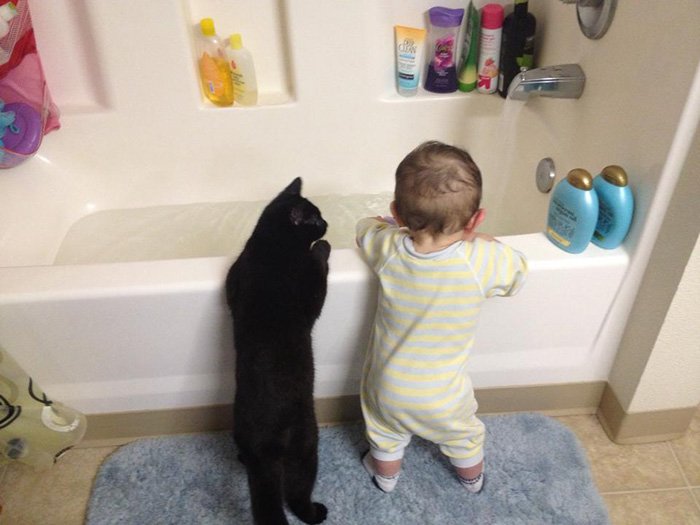 animalmascota's tweet photo. Los baños se preparan mejor en compañía. ¿A que sí? https://t.co/hnLNp5ZKIV