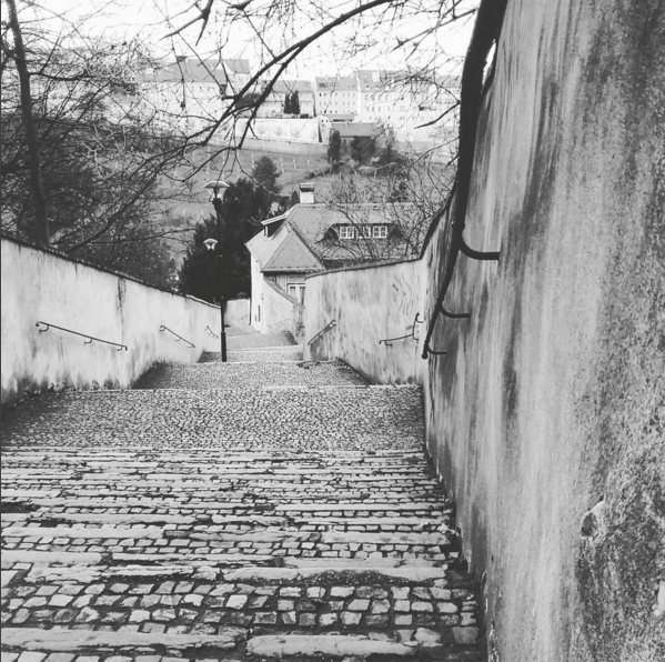 PragueEU tweet picture