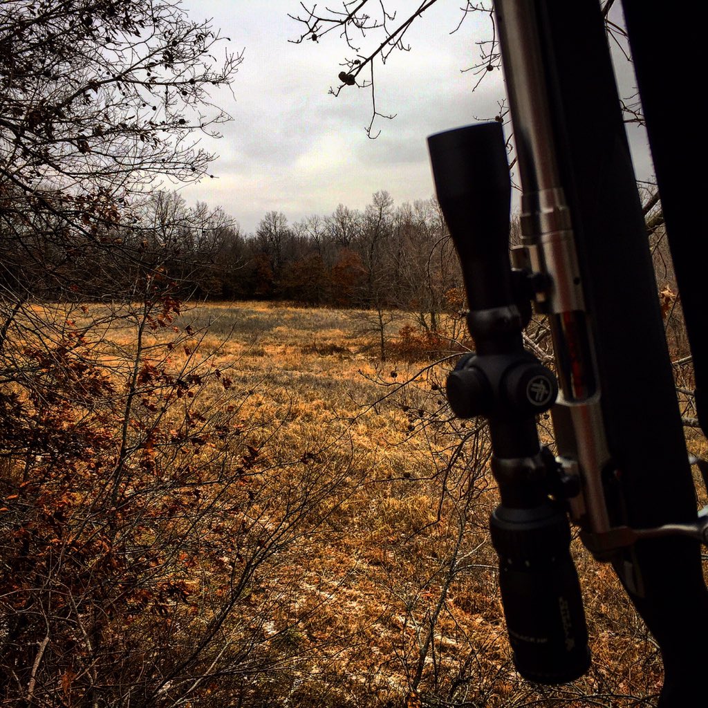 WickedTine's tweet photo. Last opportunity here in Missouri, please no tag soup. IA we are headed your way tonight. #Doubleup? #wicked tine https://t.co/i5q86xyeia