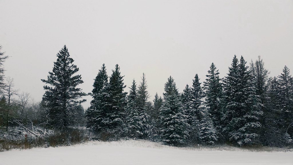MummyInTheSands's tweet photo. Best hot chocolate aside from over a campfire! 🍵 Snowfall in Spruce Woods Provincial Park ❄ #mbparks #exploremb https://t.co/TlvdT7td4R