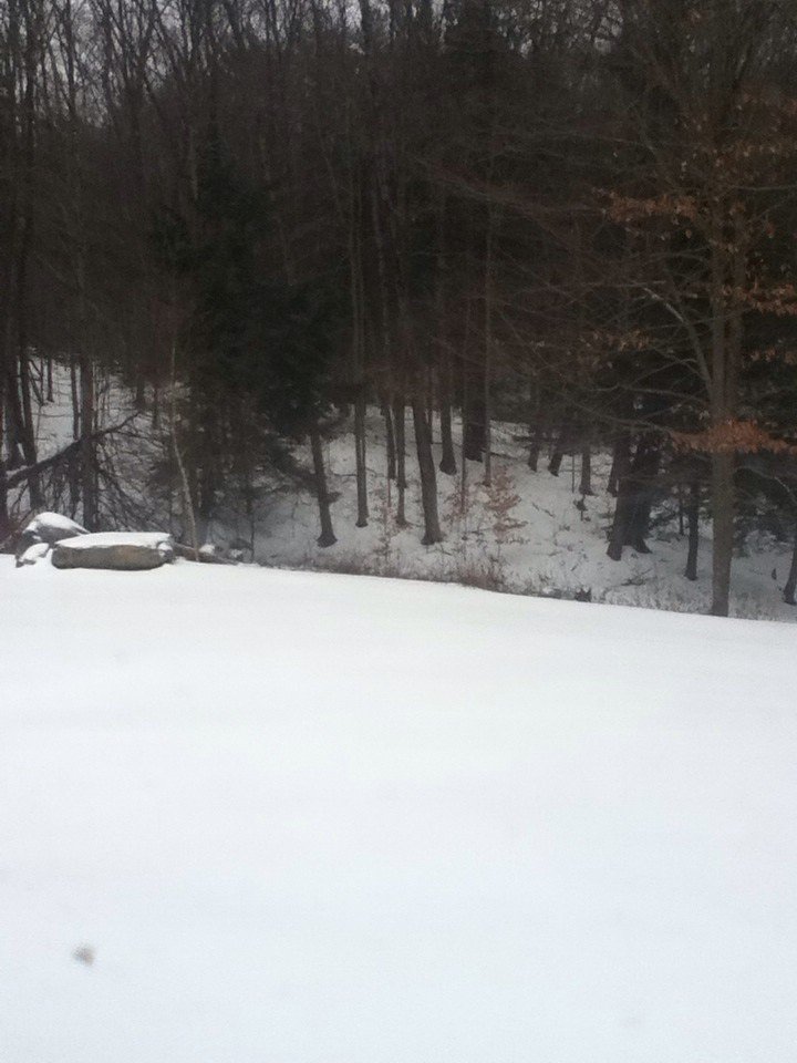 RayleneJackman's tweet image. The snow wouldnt let me take a pic with me... #snowisevil