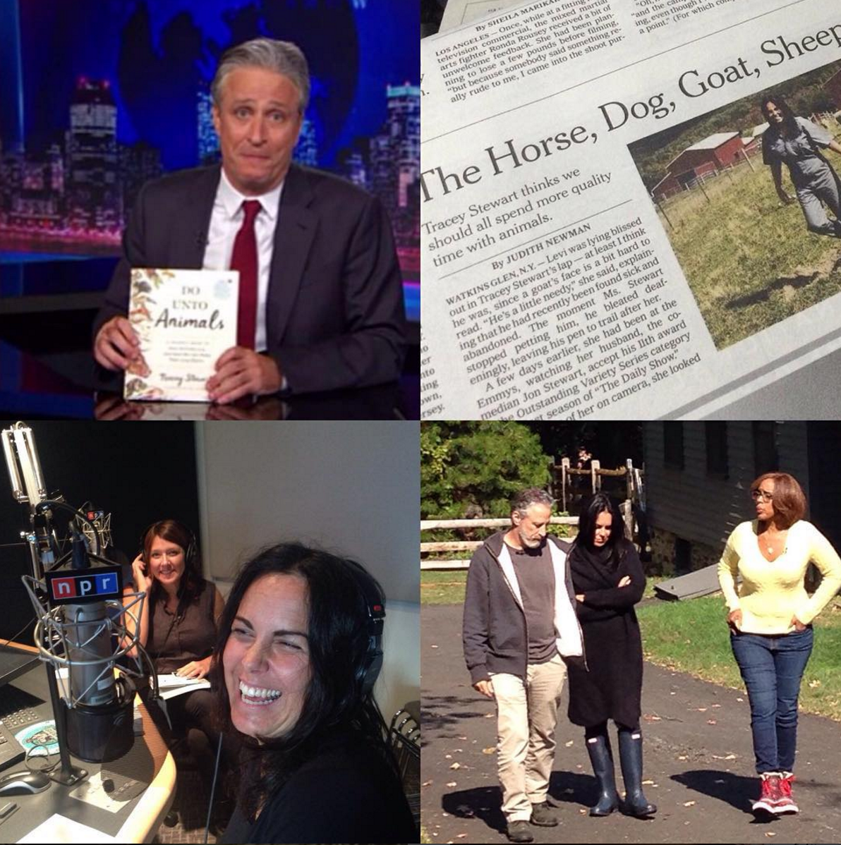 MoomahMagazine's tweet photo. It's been a crazy good 2015! #DOUNTOANIMALS cc: @TheDailyShow @NPR @nytimes @CBSThisMorning @liseljane @artisanbooks https://t.co/tlq6z56OPS