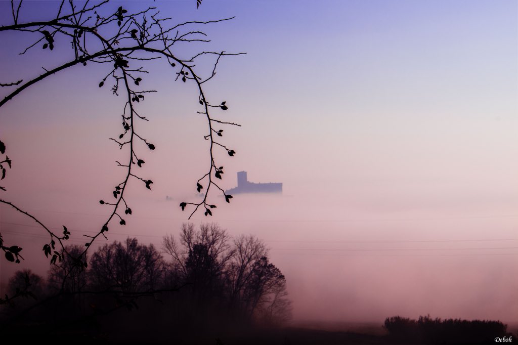 PugnoDeborah's tweet photo. #Today 📸 #photography #Italy #mypassion #photo #myworks #Somewhereinmymind #myphoto #castle #landscapes #Piemonte https://t.co/lJtVxG7IrT