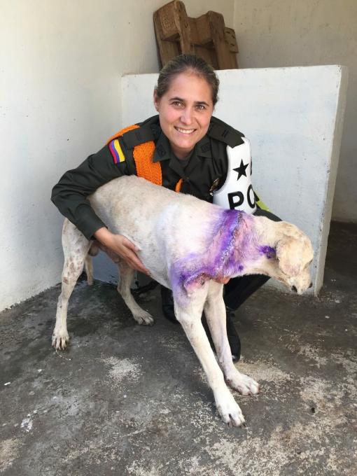 BLUSantanderes's tweet photo. #Audio Teniente de la @PoliciaBmanga salva la vida de perro atacado con machete en Girón https://t.co/ErnyPPKLHi https://t.co/pCYr0tJC23