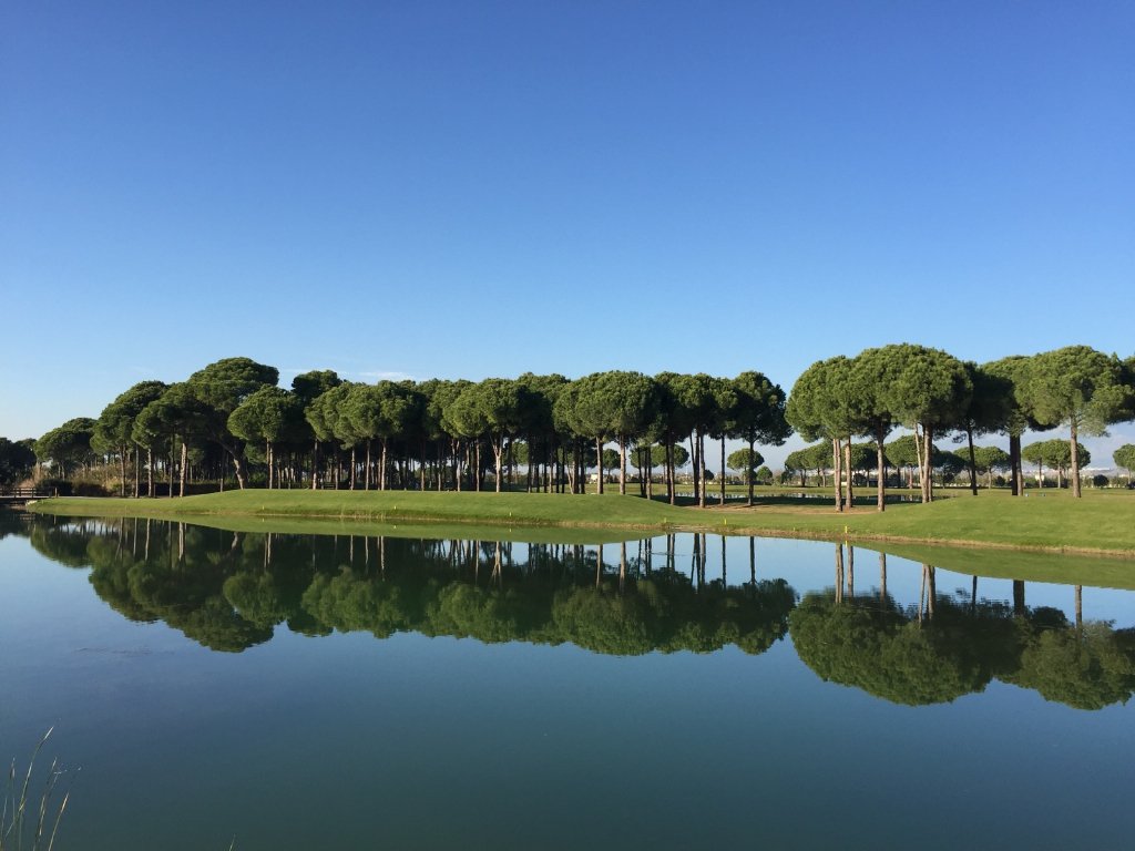 Pro Shop Europe tweet media