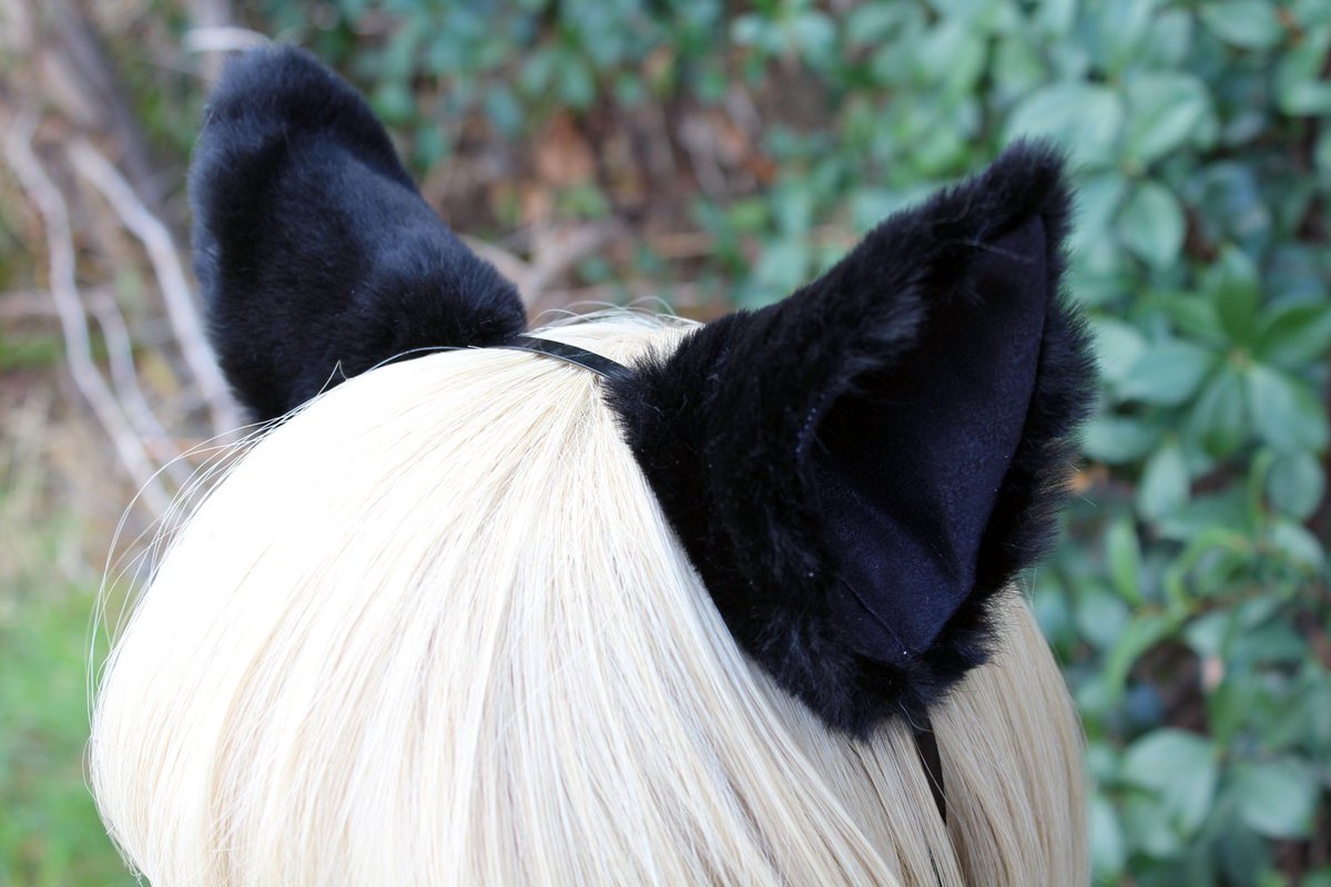 ihateleeks's tweet photo. #cosplay #catears #foxears https://t.co/iIRiOUgqNH