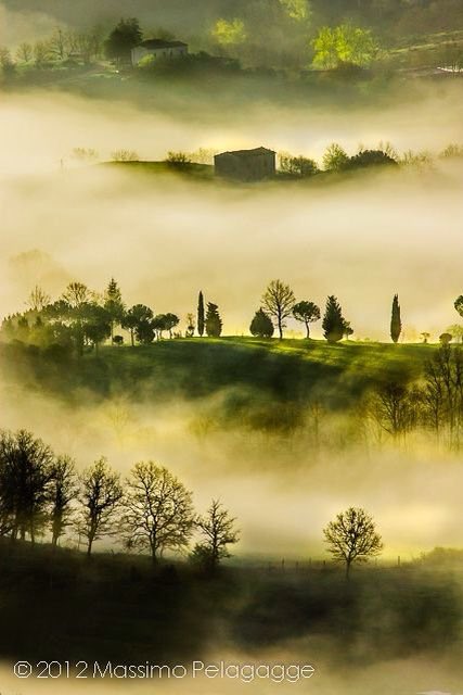 Mist in Tuscany, Siena~♡