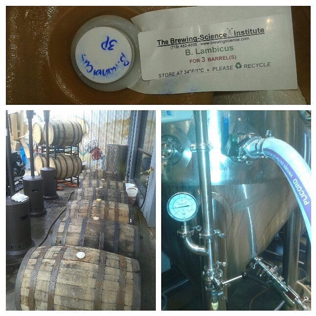 BrainDeadBrew's tweet image. Good things happening in the brewhouse today.