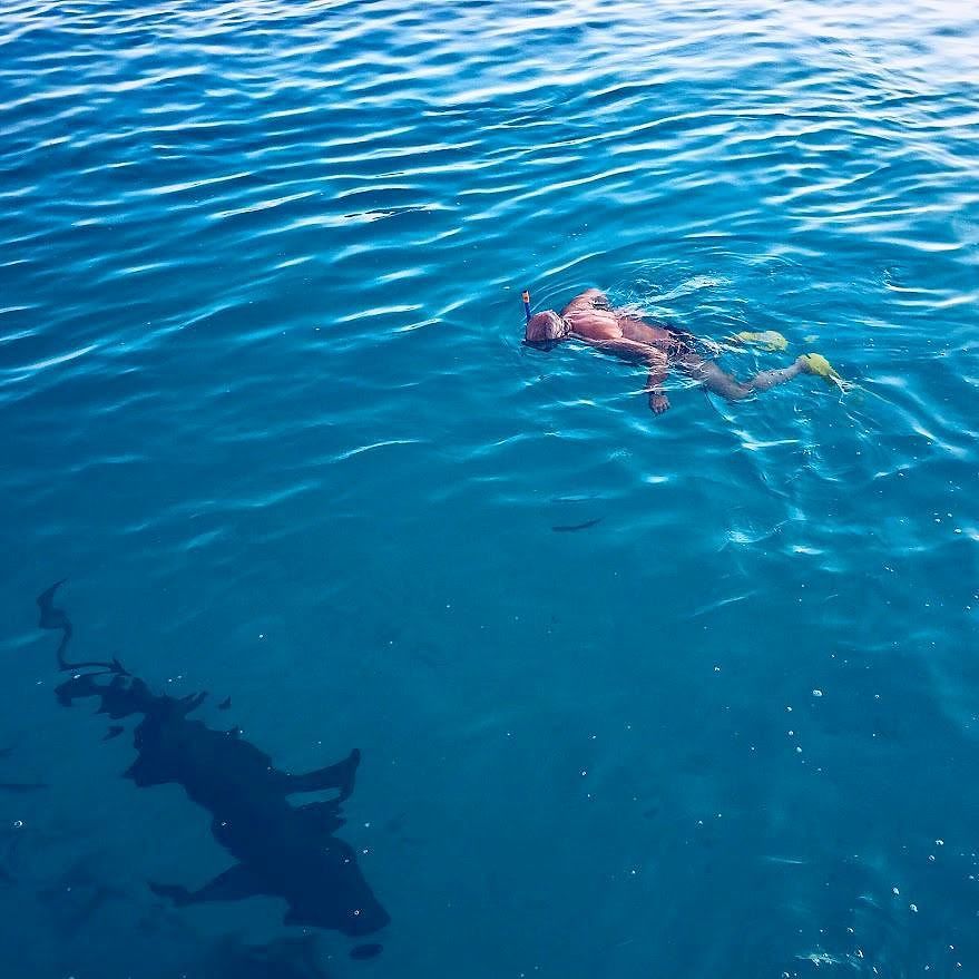 MALDIVITY's tweet photo. Enjoy snorkeling with sharks at Alimathà Aquatic Resort

#bmrtg #RT2GAIN #Maldives #alimat… https://t.co/FGQPIjgOEY https://t.co/R7cAJZwngO