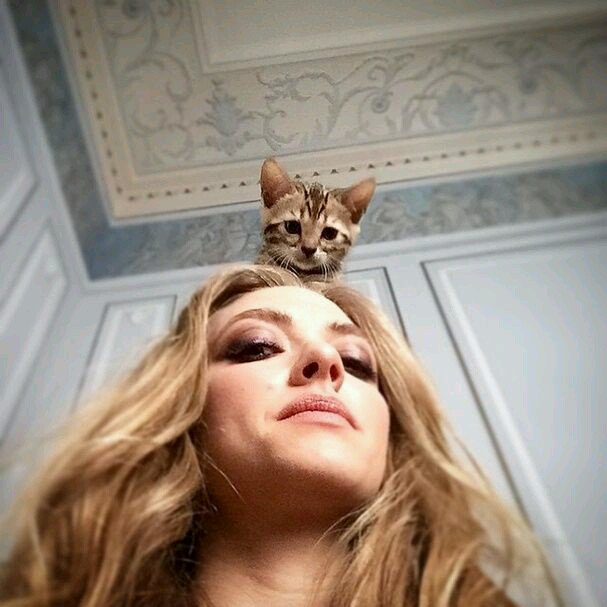 #peoplearebeautifulchallenge

I was tagged by <a href="/UnquietDepth/">Loki Laufeyson || Parody</a> ~