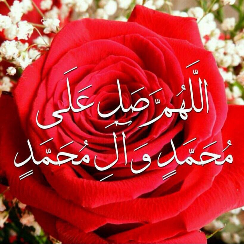 ((اللهُّم صلِّ وسلم و زد وبارك على محمد وآل محمد))
متباركين بمولد منقد البشرية ❤️🌹