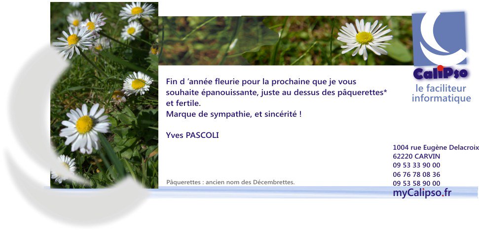 YPascoli's tweet image. Bonne Année ! mycalipso.fr/?p=179
