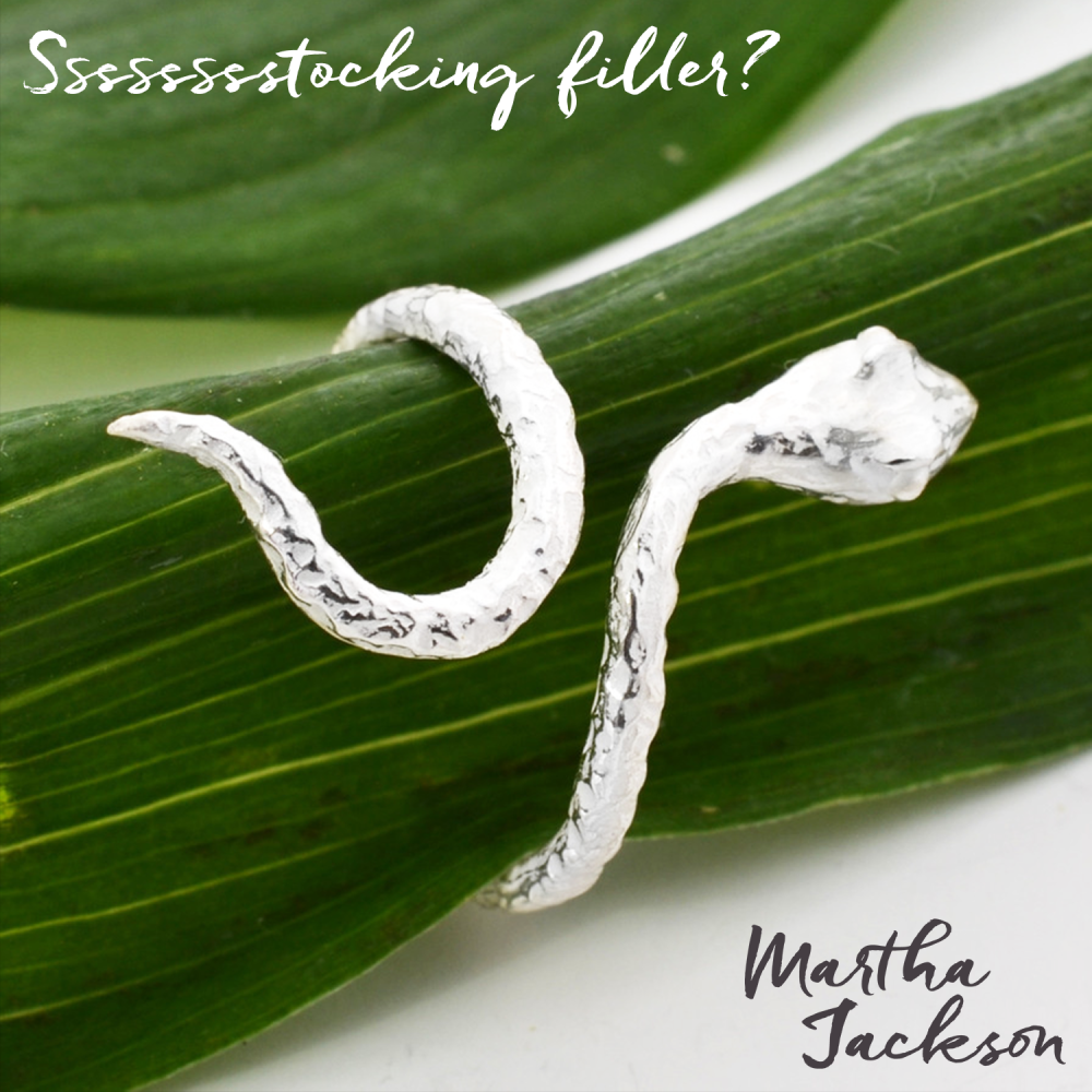 martha_jackson's tweet photo. A great sssssstocking filler this #Christmas  https://t.co/0DW0RQuqhF #stockingfiller https://t.co/wSSQSsqFs6