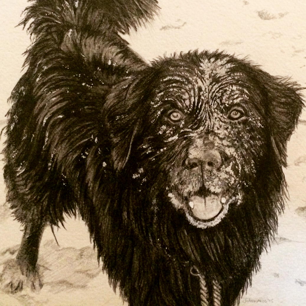 joedwards25's tweet photo. A wet and sandy dog. Definitely a challenge and definitely loved this sweet guy. https://t.co/WR5Vm6yACy